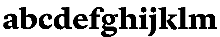 Lyon Arabic Text Black FONT