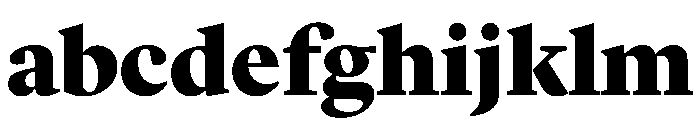 Lyon Display Black FONT