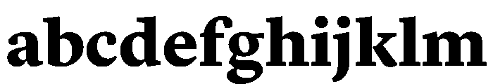 Lyon Hebrew Text Black FONT