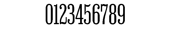 Magno Serif Variable Light Font OTHER CHARS