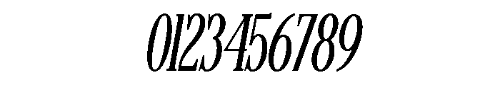 MAERISON SERIF Italic Font OTHER CHARS