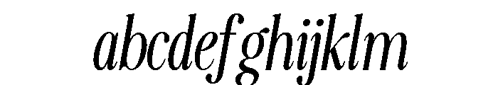 MAERISON SERIF Italic FONT