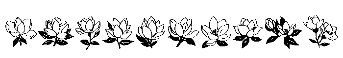 Magnolia Bloom Font OTHER CHARS