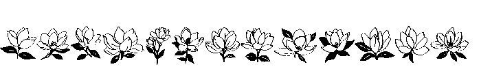 Magnolia Bloom Font UPPERCASE