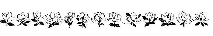 Magnolia Bloom FONT