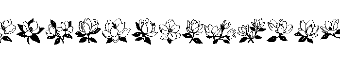 Magnolia Bloom Font LOWERCASE