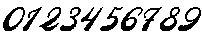 Mainer Wisdom Italic Font OTHER CHARS
