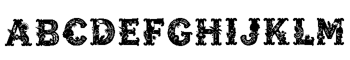 Maire Regular FONT