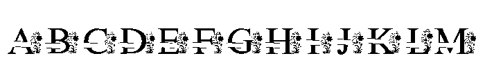 Majestic Monogram Font UPPERCASE