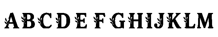 Manor Regular FONT