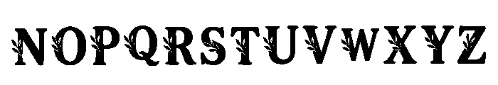 Manor Regular Font LOWERCASE