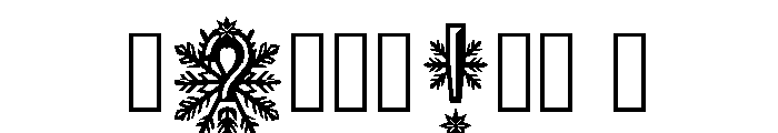 Mans Regular Font OTHER CHARS