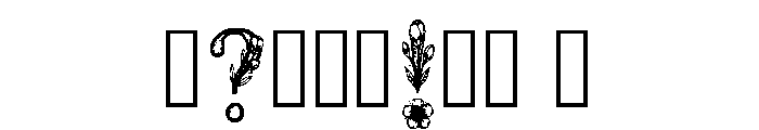 Maple Regular Font OTHER CHARS