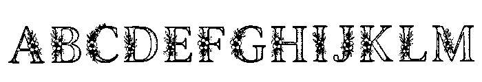 Maple Regular Font UPPERCASE