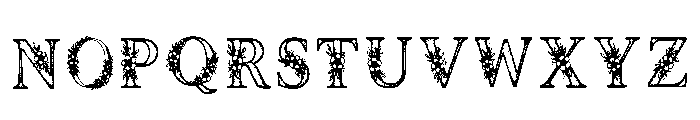 Maple Regular Font LOWERCASE