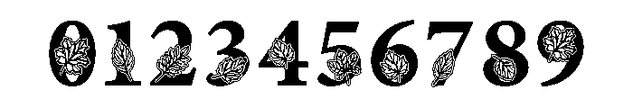 Maple Whisper Font OTHER CHARS