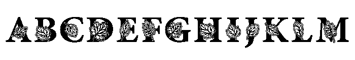 Maple Whisper Font UPPERCASE