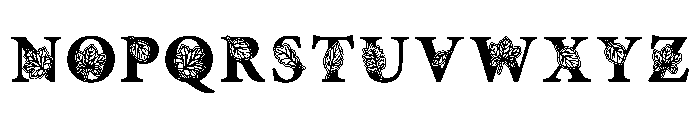 Maple Whisper Font UPPERCASE