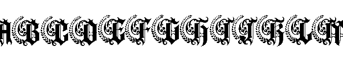 MarkosBlack-Regular FONT