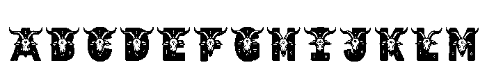 Marne Regular FONT