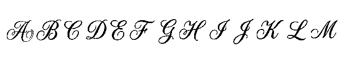 Max Regular FONT