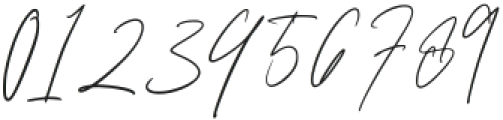 Madiena Signature Regular otf (400) Font OTHER CHARS