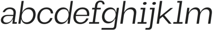 Maginer Light Italic otf (300) Font LOWERCASE