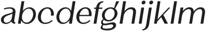 Maglityca Medium Italic otf (500) Font LOWERCASE