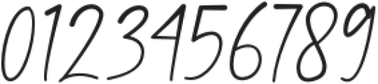 Magnificent Signature otf (400) Font OTHER CHARS