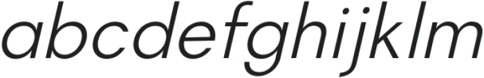 Magnify Extra Light Italic ttf (200) Font LOWERCASE