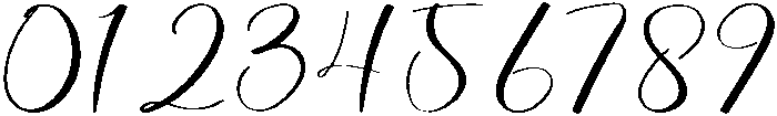 Magnolia Signature Regular otf (400) Font OTHER CHARS