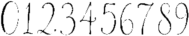 MaisonFlorea Regular otf (400) Font OTHER CHARS