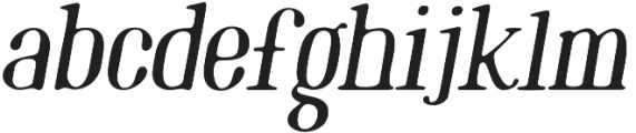 Marinaio Serif Medium Oblique otf (500) Font LOWERCASE
