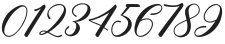 Matilha Script Regular otf (400) Font OTHER CHARS