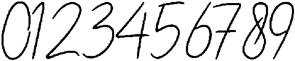 Maya Script otf (400) Font OTHER CHARS