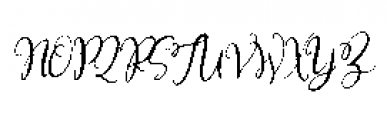 Magnolia Merchant Italic Font UPPERCASE