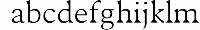 Maddex Serif Premium Font Family 1 Font LOWERCASE