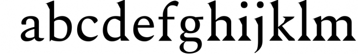 Maddex Serif Premium Font Family Font LOWERCASE