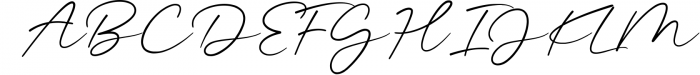 Magenta - 3 Luxury Signature Font 2 Font UPPERCASE