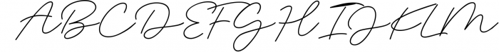 Magenta - 3 Luxury Signature Font Font UPPERCASE