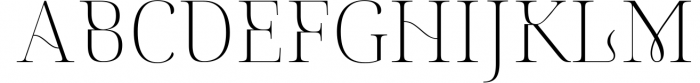 Magique. Modern Vintage serif Font UPPERCASE