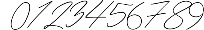 Maldins - Stylish Signature Font Font OTHER CHARS