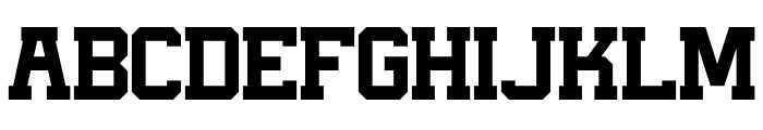 Magna Bold FONT