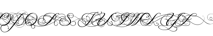 Magnolia  Italic Font UPPERCASE