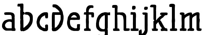 MaiersNr.21Pro-Bold Font LOWERCASE