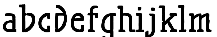MaiersNr.Reduced-Bold Font LOWERCASE