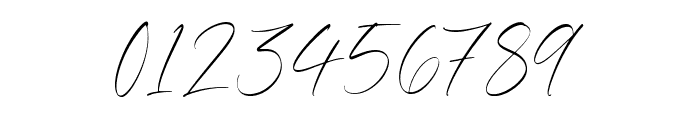 Maldives Signature Font OTHER CHARS