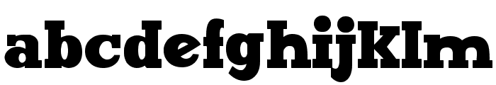 Maxxi Serif Bold Font LOWERCASE