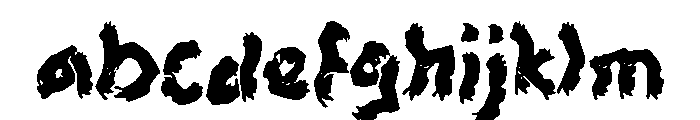 Mazen FONT
