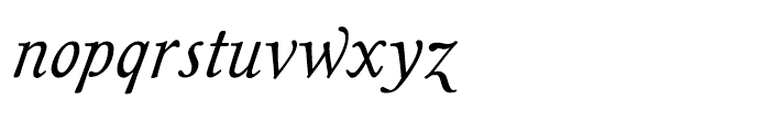 Magpie Italic Font LOWERCASE